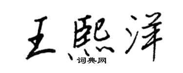 王正良王熙洋行書個性簽名怎么寫