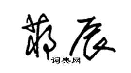 朱錫榮蔣辰草書個性簽名怎么寫