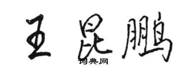 駱恆光王昆鵬行書個性簽名怎么寫