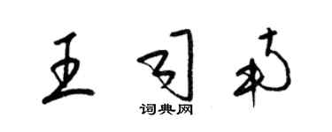 梁錦英王司南草書個性簽名怎么寫