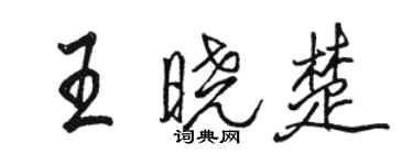 駱恆光王曉楚行書個性簽名怎么寫