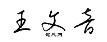 梁錦英王文音草書個性簽名怎么寫