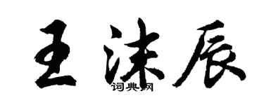 胡問遂王沫辰行書個性簽名怎么寫