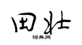 曾慶福田壯行書個性簽名怎么寫
