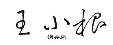 駱恆光王小根草書個性簽名怎么寫