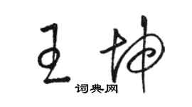 駱恆光王坤草書個性簽名怎么寫