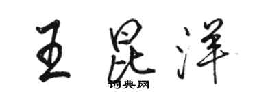 駱恆光王昆洋行書個性簽名怎么寫