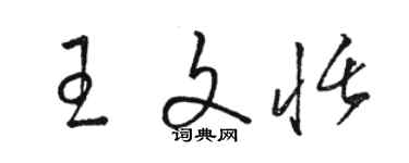 駱恆光王文恬草書個性簽名怎么寫