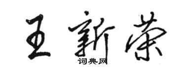 駱恆光王新榮行書個性簽名怎么寫