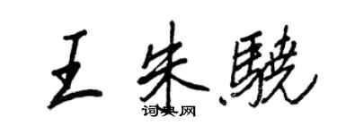 王正良王朱驍行書個性簽名怎么寫