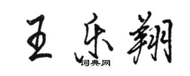 駱恆光王樂翔行書個性簽名怎么寫