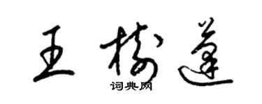 梁錦英王樹蓬草書個性簽名怎么寫