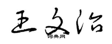 曾慶福王文治草書個性簽名怎么寫