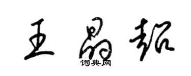 梁錦英王晶超草書個性簽名怎么寫