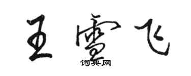 駱恆光王雪飛行書個性簽名怎么寫