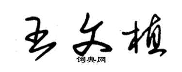 朱錫榮王文植草書個性簽名怎么寫