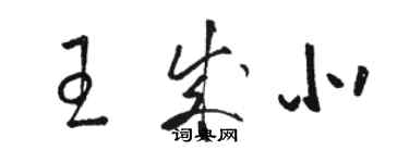 駱恆光王成北草書個性簽名怎么寫