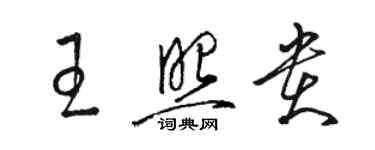 駱恆光王照貴草書個性簽名怎么寫