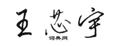 駱恆光王芯宇行書個性簽名怎么寫