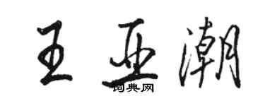 駱恆光王亞潮行書個性簽名怎么寫