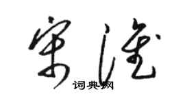 駱恆光宋淮草書個性簽名怎么寫