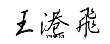 王正良王港飛行書個性簽名怎么寫