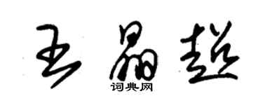 朱錫榮王晶超草書個性簽名怎么寫