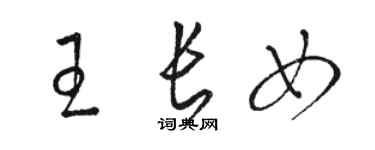 駱恆光王長女草書個性簽名怎么寫