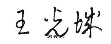 駱恆光王光城草書個性簽名怎么寫