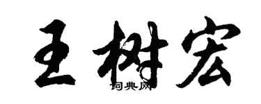胡問遂王樹宏行書個性簽名怎么寫