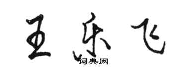 駱恆光王樂飛行書個性簽名怎么寫