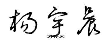 曾慶福楊宇晨草書個性簽名怎么寫