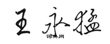 駱恆光王永猛行書個性簽名怎么寫