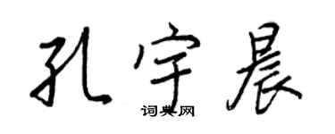 王正良孔宇晨行書個性簽名怎么寫