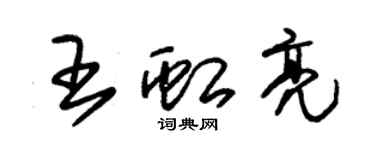 朱錫榮王虹亮草書個性簽名怎么寫