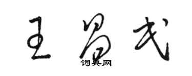 駱恆光王昌民草書個性簽名怎么寫