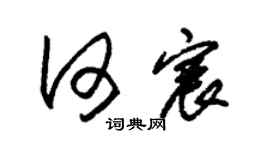 朱錫榮何宸草書個性簽名怎么寫