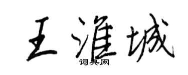 王正良王淮城行書個性簽名怎么寫