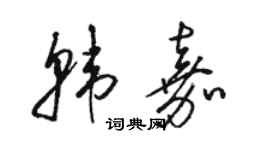 駱恆光韓嘉草書個性簽名怎么寫