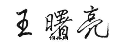 駱恆光王曙亮行書個性簽名怎么寫