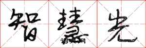 段相林智慧光行書怎么寫