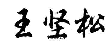 胡問遂王堅松行書個性簽名怎么寫