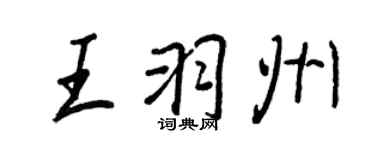 王正良王羽州行書個性簽名怎么寫
