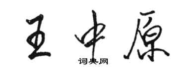 駱恆光王中原行書個性簽名怎么寫