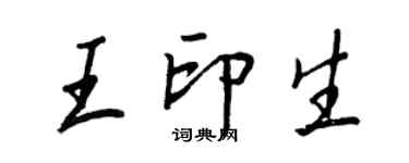 王正良王印生行書個性簽名怎么寫
