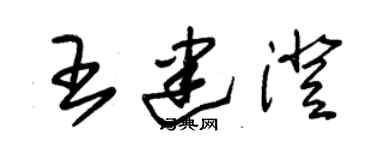 朱錫榮王建澄草書個性簽名怎么寫