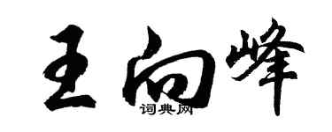 胡問遂王向峰行書個性簽名怎么寫
