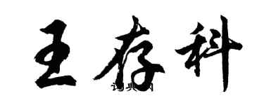 胡問遂王存科行書個性簽名怎么寫