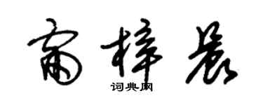 朱錫榮雷梓晨草書個性簽名怎么寫
