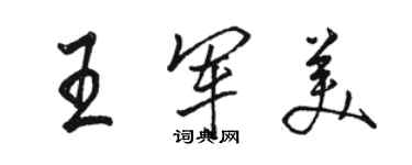 駱恆光王軍美行書個性簽名怎么寫